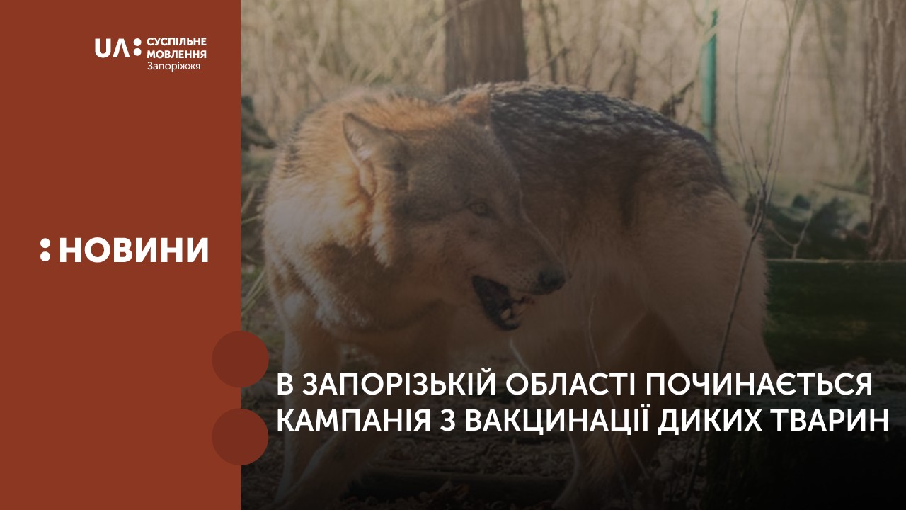 В Запорізькій області починається кампанія з вакцинації диких тварин