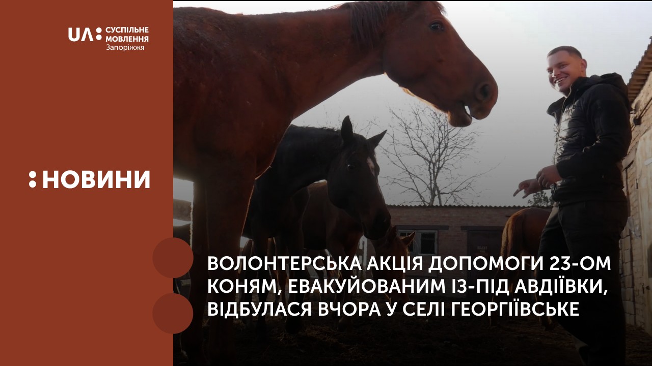 Волонтерська акція допомоги 23-ом коням, евакуйованим із-під Авдіївки, відбулася вчора у селі Георгіївське