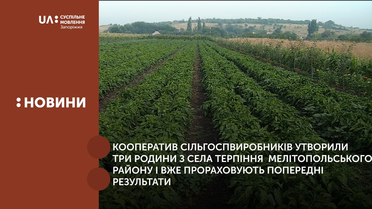 Кооператив сільгоспвиробників утворили три родини з села Терпіння  Мелітопольського району і вже прораховують попередні результати