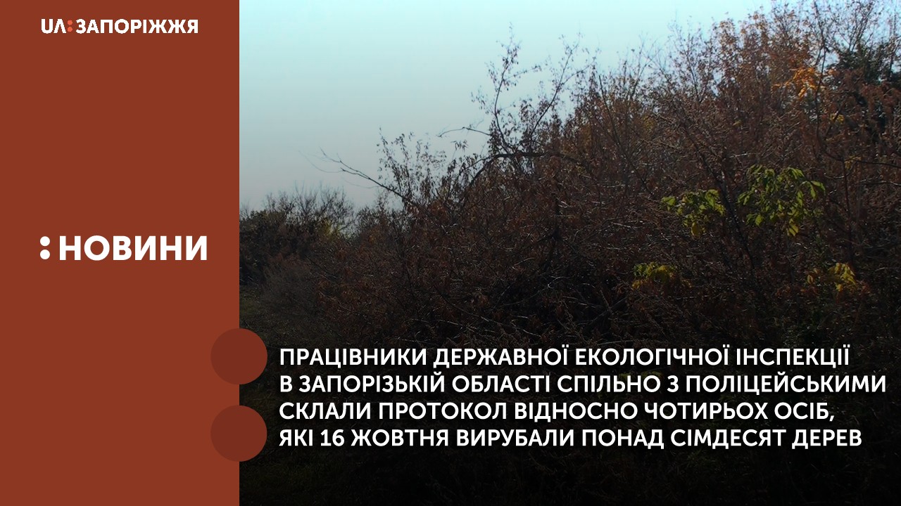 Працівники державної екологічної інспекції в запорізькій області спільно з поліцейськими склали протокол відносно чотирьох осіб, які 16 жовтня вирубали понад сімдесят дерев.